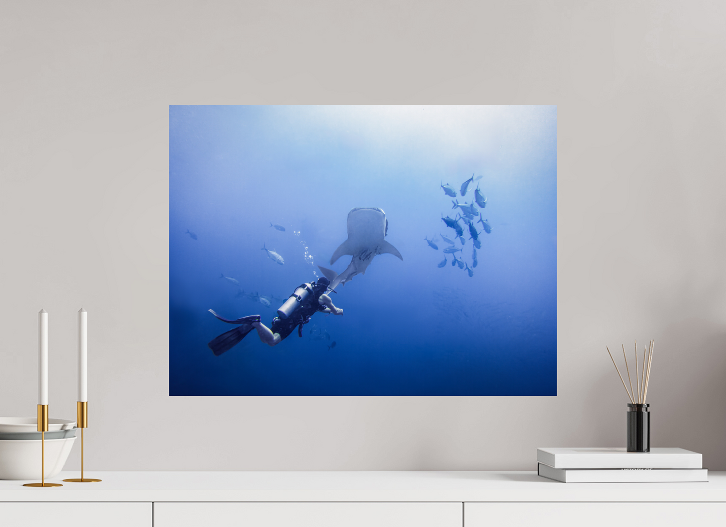 Whale shark up close