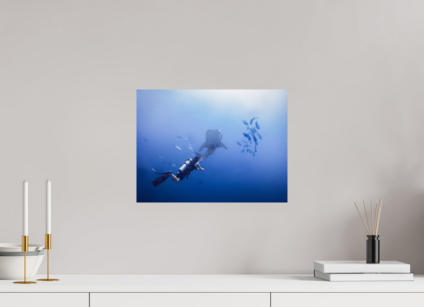 Whale shark up close