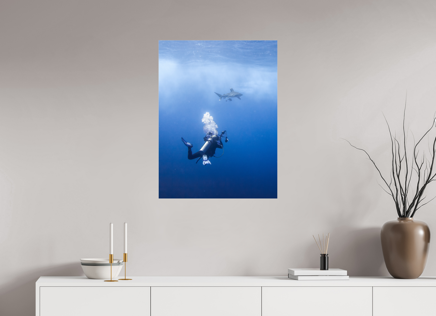 Shark spotting