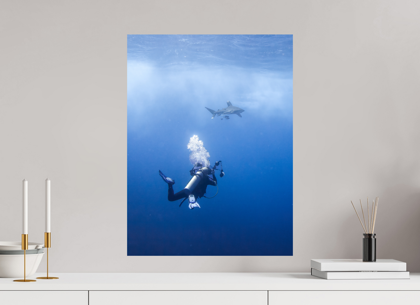 Shark spotting