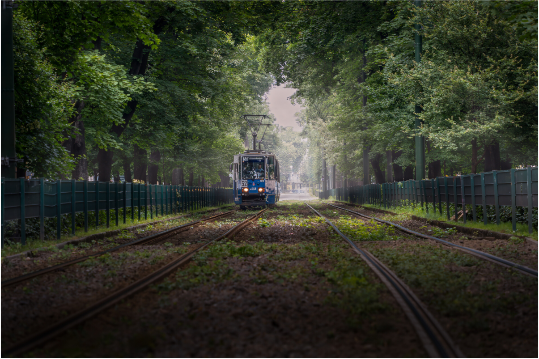 Tunnel of green