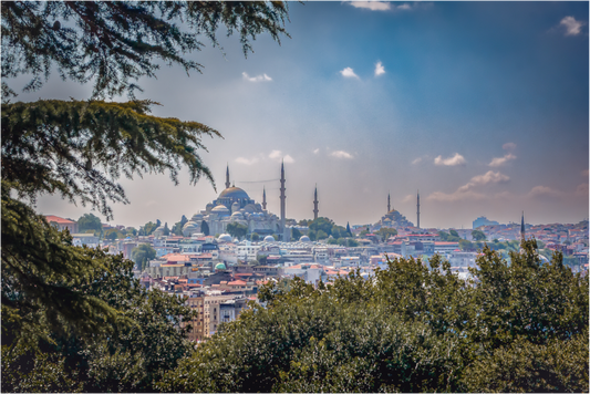 City and green