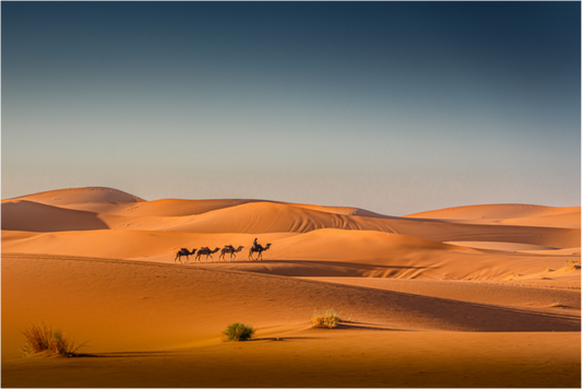 Desert stroll
