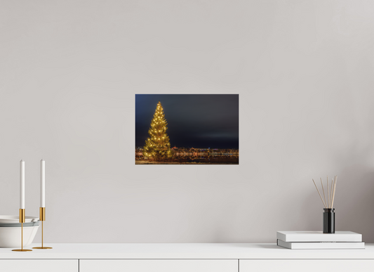Christmas tree in the city