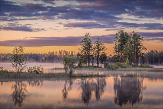 Early morning mirror